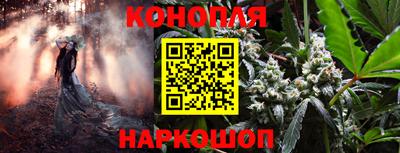 ешки Шелехов