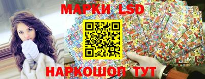 СК Шахты