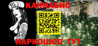 ешки Шелехов