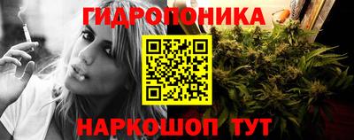 СК Шахты