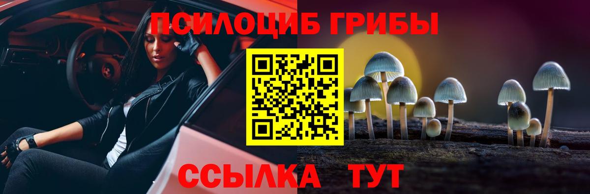 Карасук  наркота  Вход с VPN  Псилоцибиновые грибы ЛСД  Галлюциногенные грибы мухоморы 